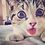 kittikatto