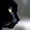 panther7
